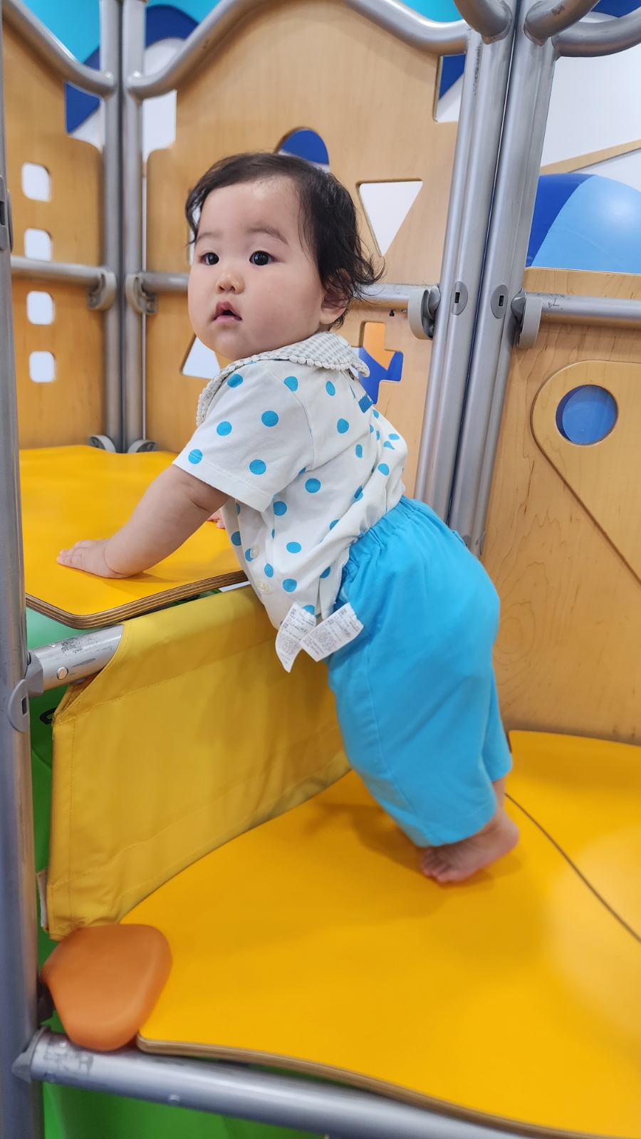 월성짐보리 이미지