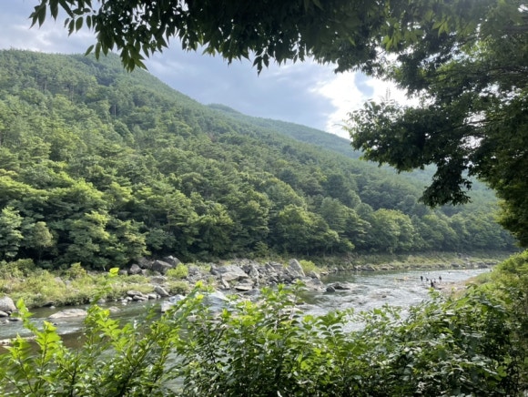(주)교아당 이미지