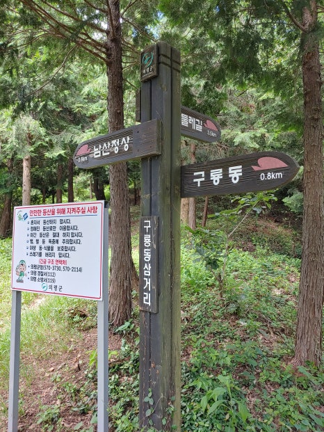 남산 정상 에서 이미지