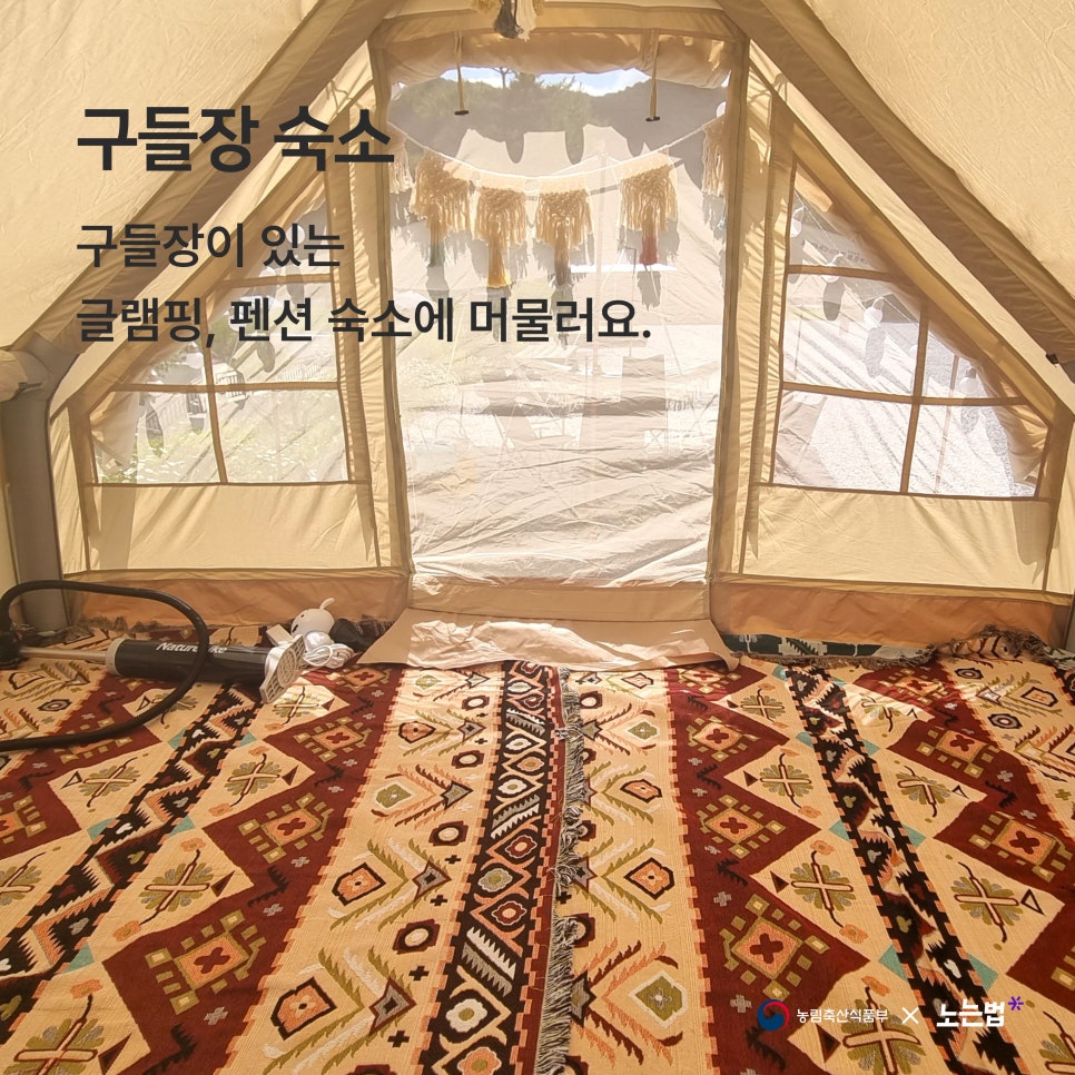 스테이구들 이미지