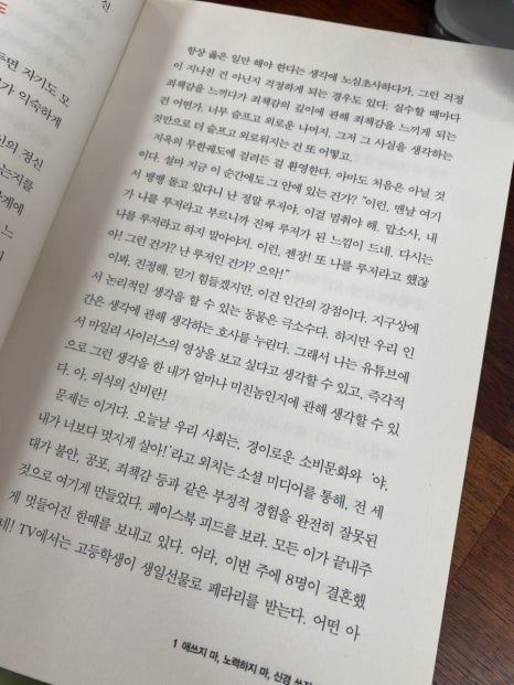 맘스터치두류점 이미지
