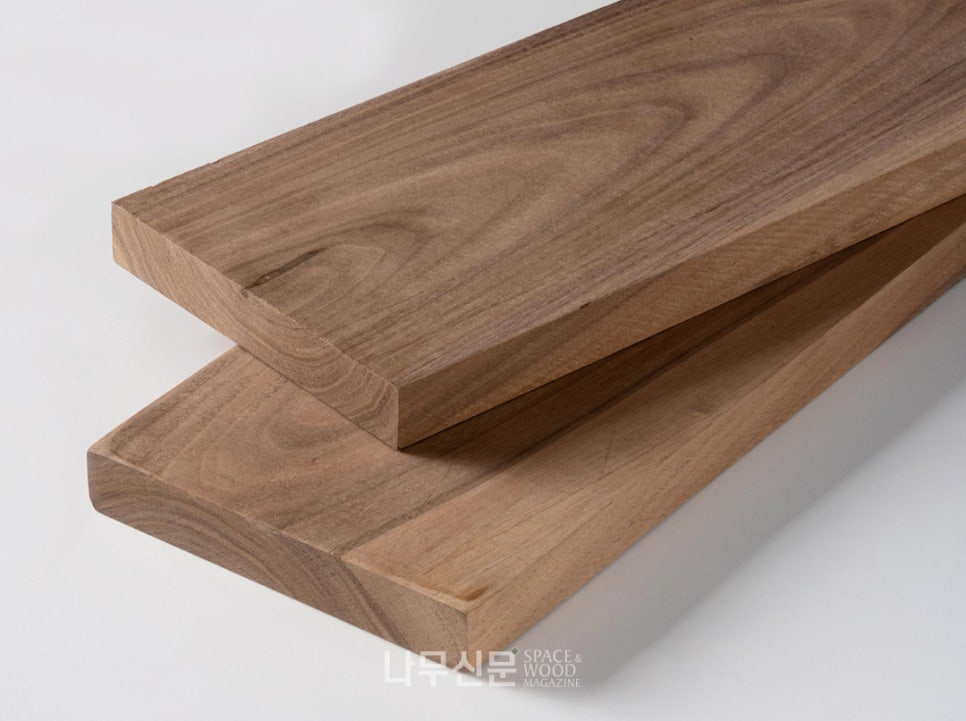월넛 walnut 이미지