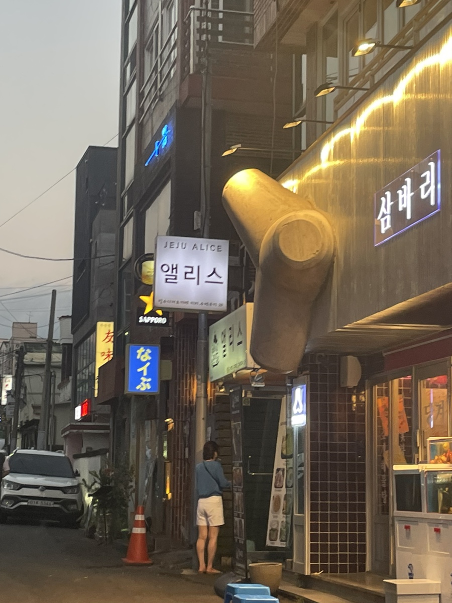 앨리스702 이미지