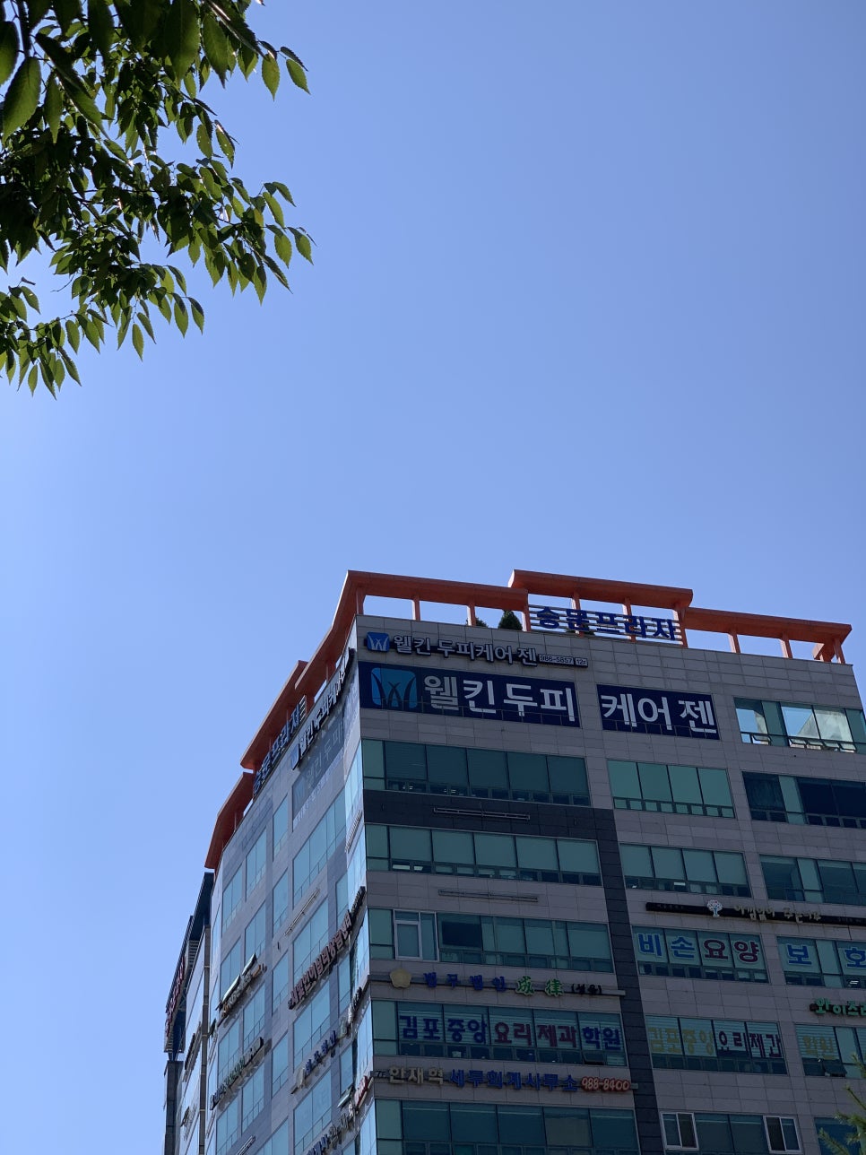 웰킨 김포장기점 이미지