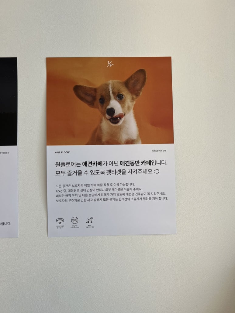 원플로어카페 이미지