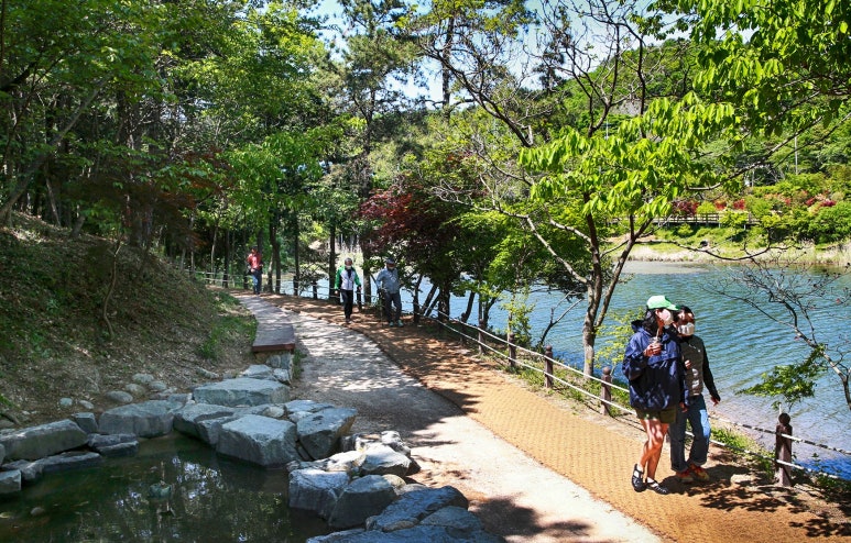 숲과함께 이미지