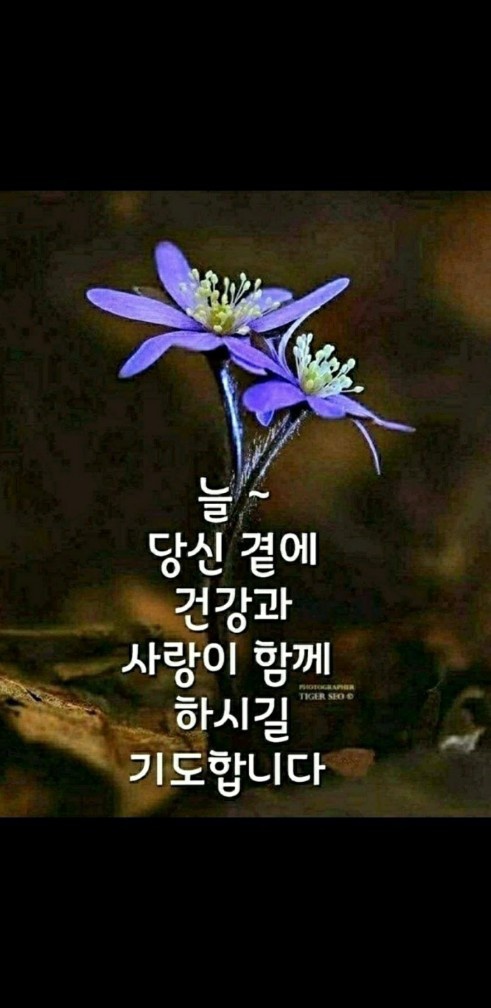 행복상사 이미지