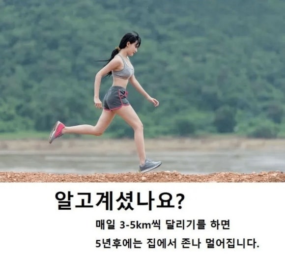 다이노웨이브 이미지