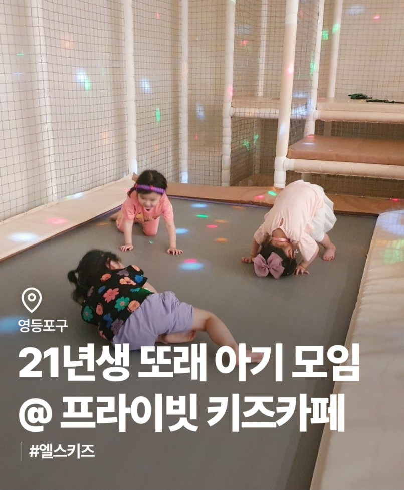 엘스키즈 이미지
