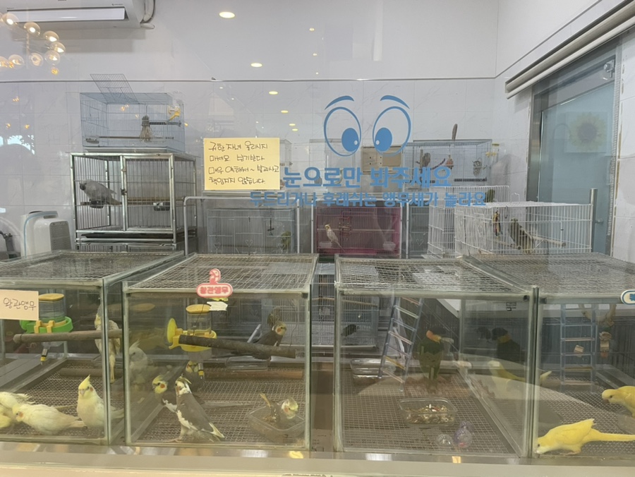 버드리전주 이미지