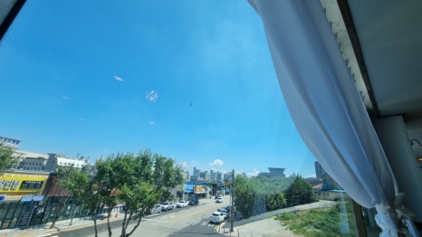 문쉐프의 텃밭 이미지