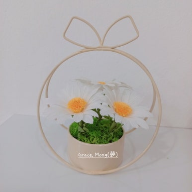 다육이공방 이미지
