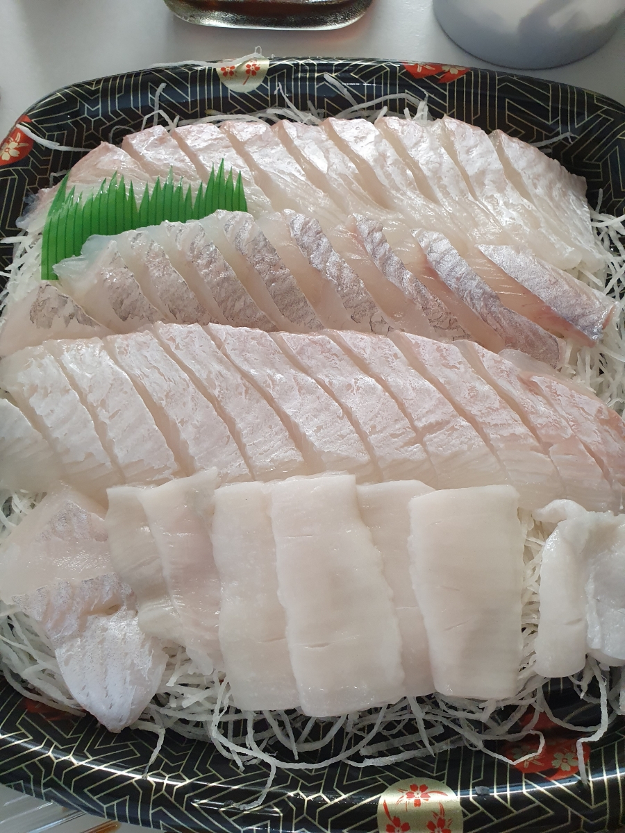 광발이 이미지