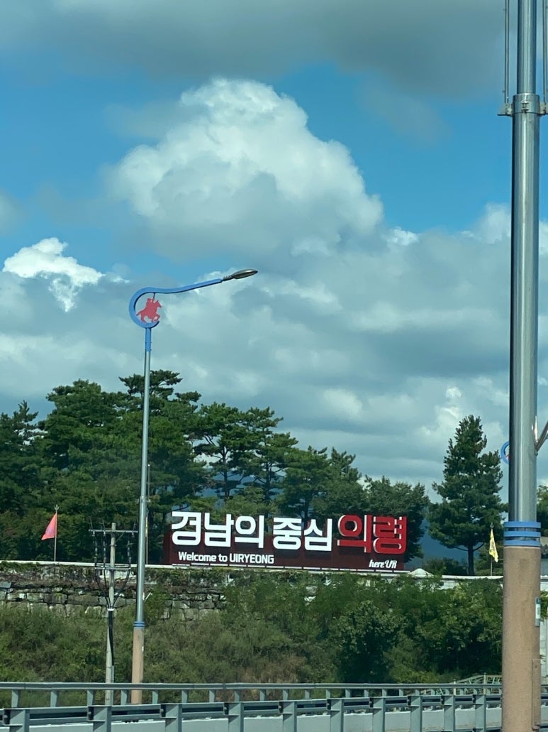 산촌꿀돼지 이미지