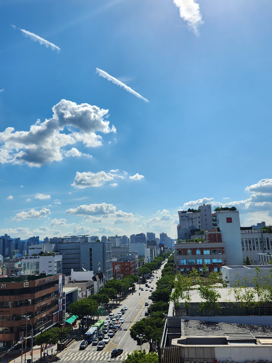 세무법인한솔 이미지
