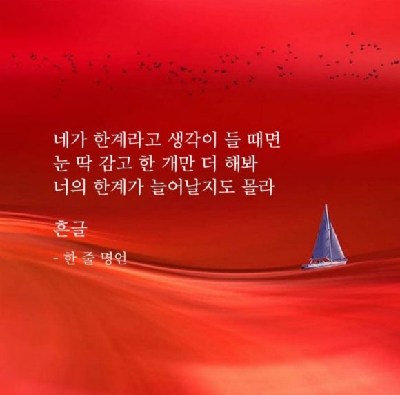 면역바이오랩(주) 이미지