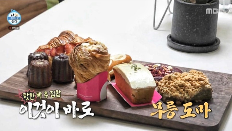 먼치스 이미지