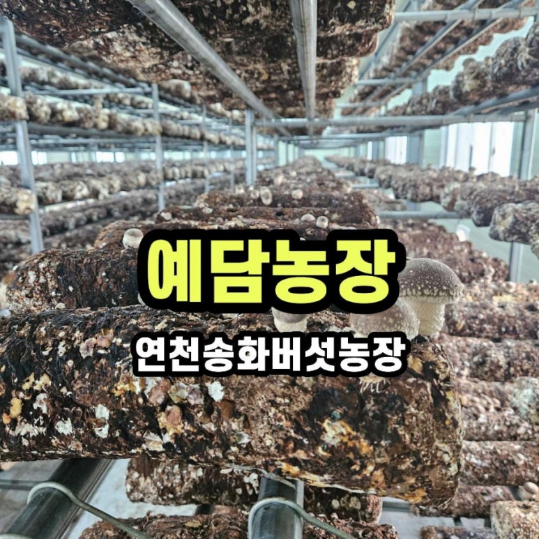 예담농원 이미지