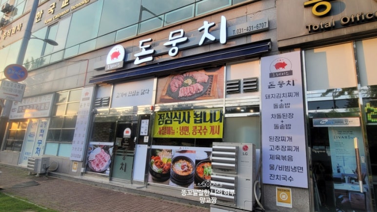 그레이스돈뭉치 이미지