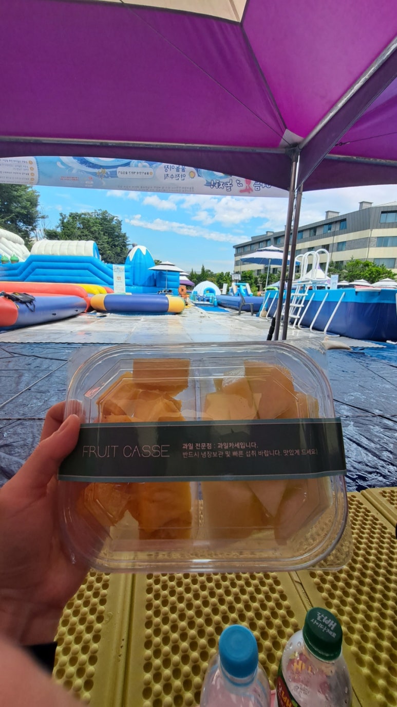 과일카세 이미지