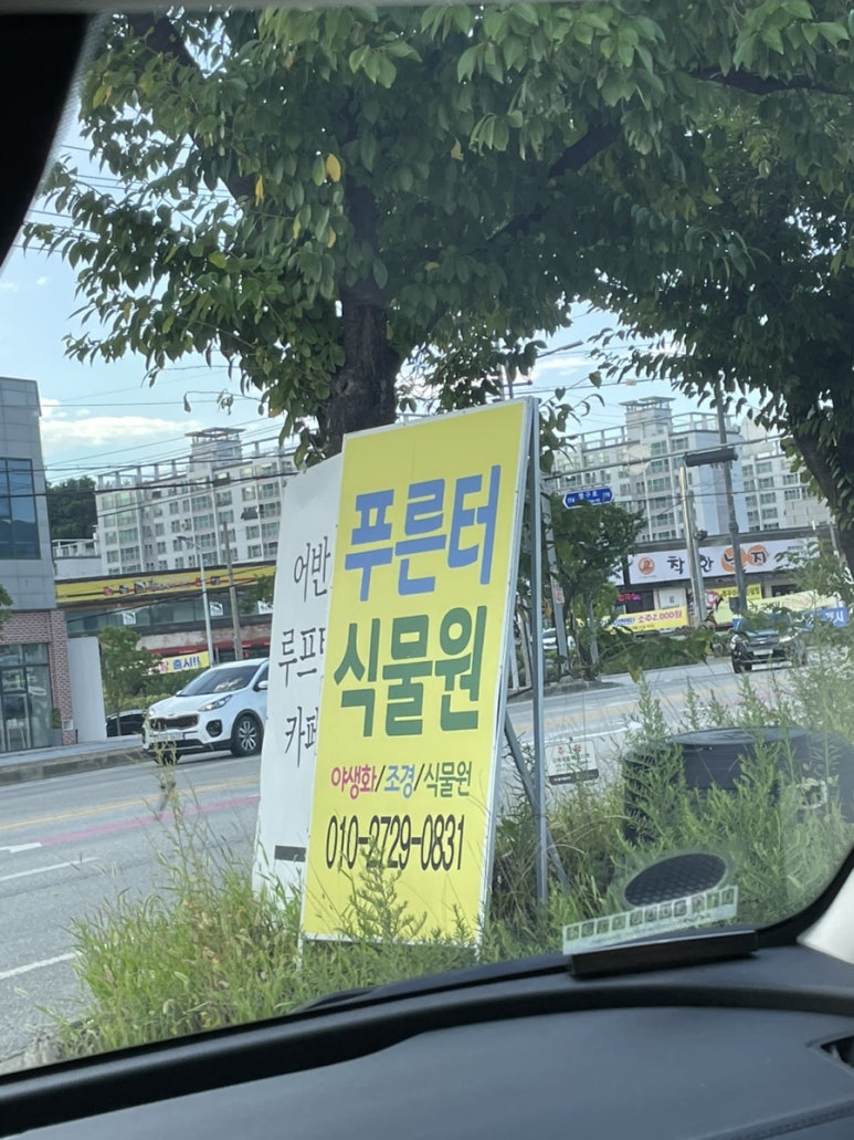 푸른터 이미지