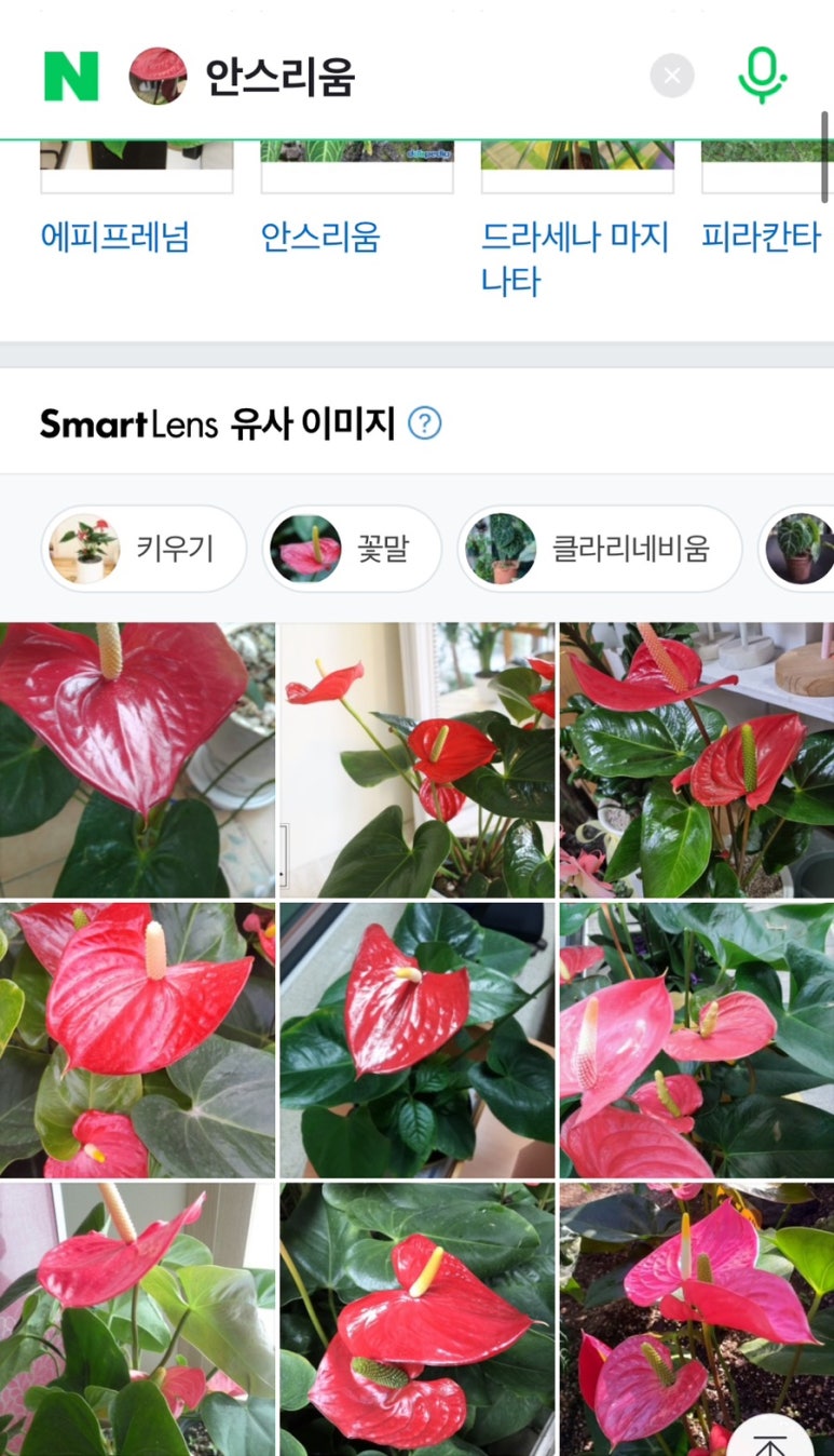 푸른터 이미지