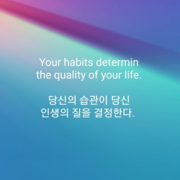 배스킨라빈스31부산 이미지