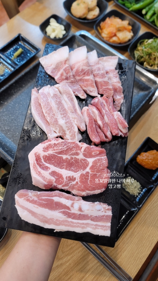 그레이스돈뭉치 이미지