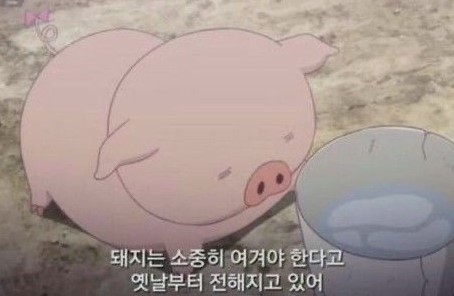 청춘껍데기 이미지