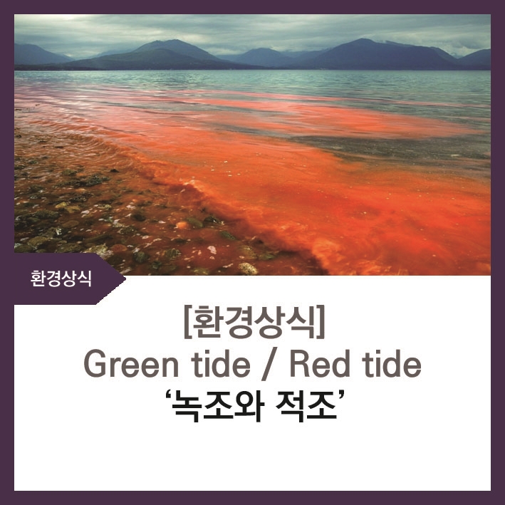 에닌주식회사 이미지