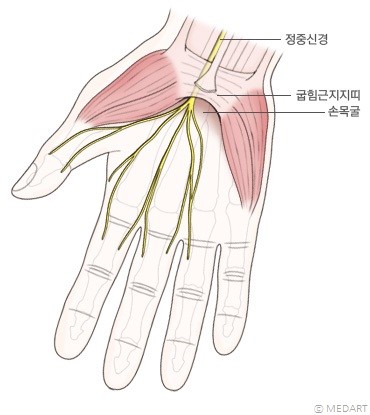 대니스짐 이미지