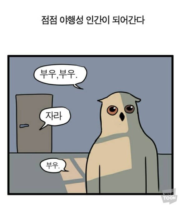 야행성 이미지