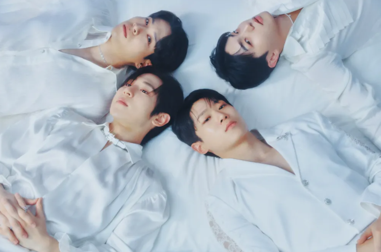 샤인정보 이미지