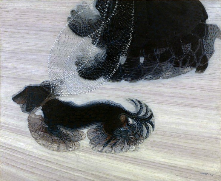 발라(BALLA) 이미지