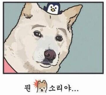 베이피움 이미지