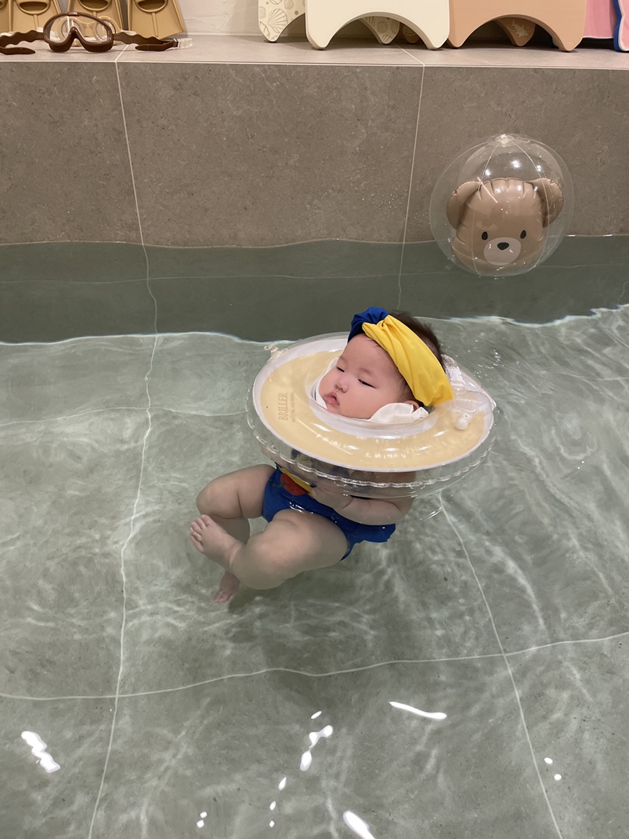 풀리풀리 이미지