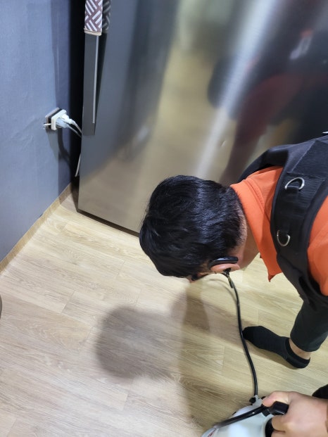 싹잡아방역 이미지