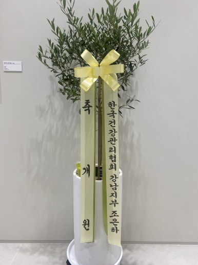 경희김앤안한의원 이미지