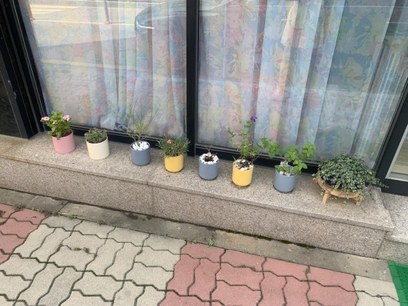 네일도우리 이미지