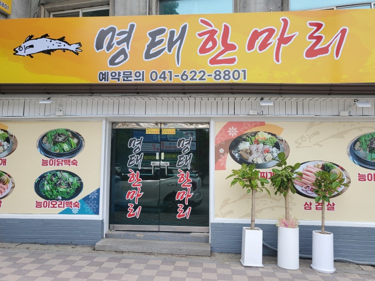 명태한마리 이미지