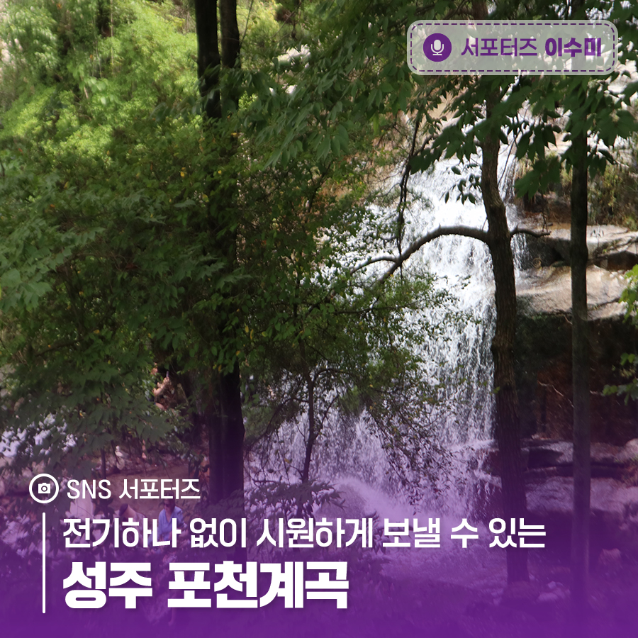 성주전기 이미지