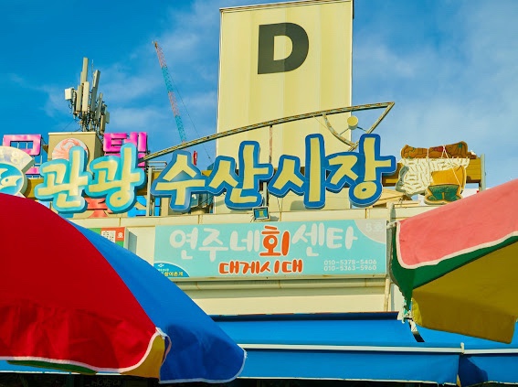 제일회센타 이미지