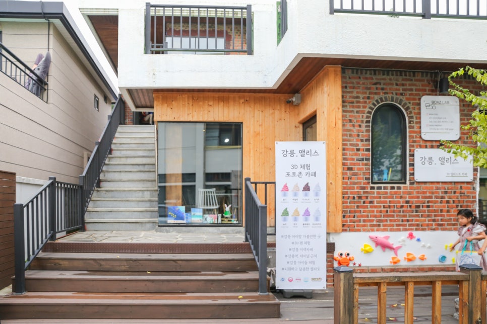 강릉;앨리스 이미지