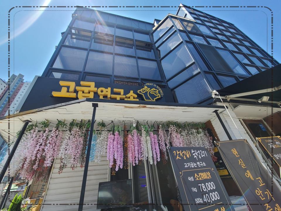 고기연구소 이미지
