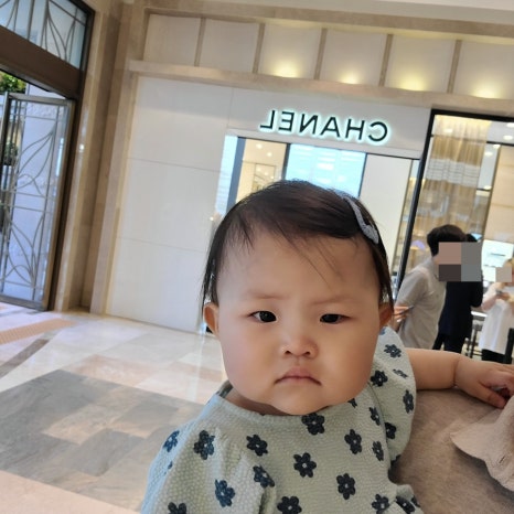 꿀딴지몰 이미지