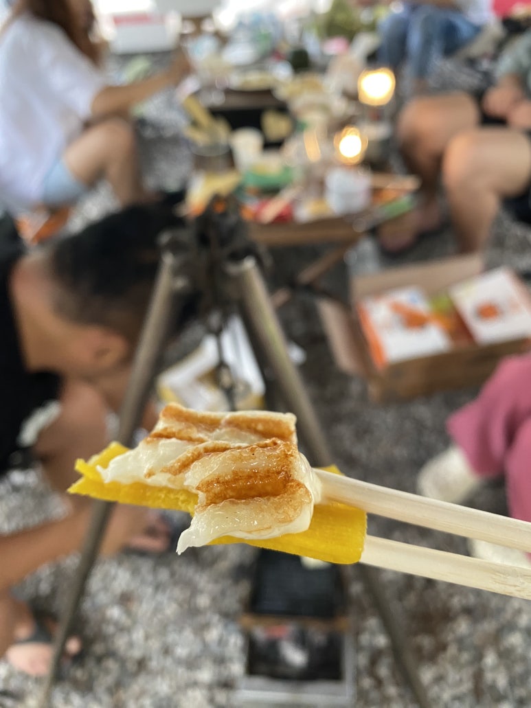 토브짐 이미지