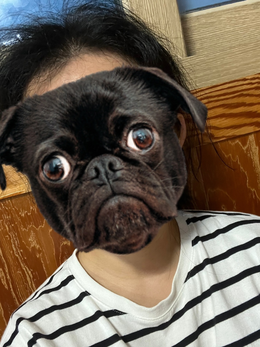 지원이네미장원 이미지