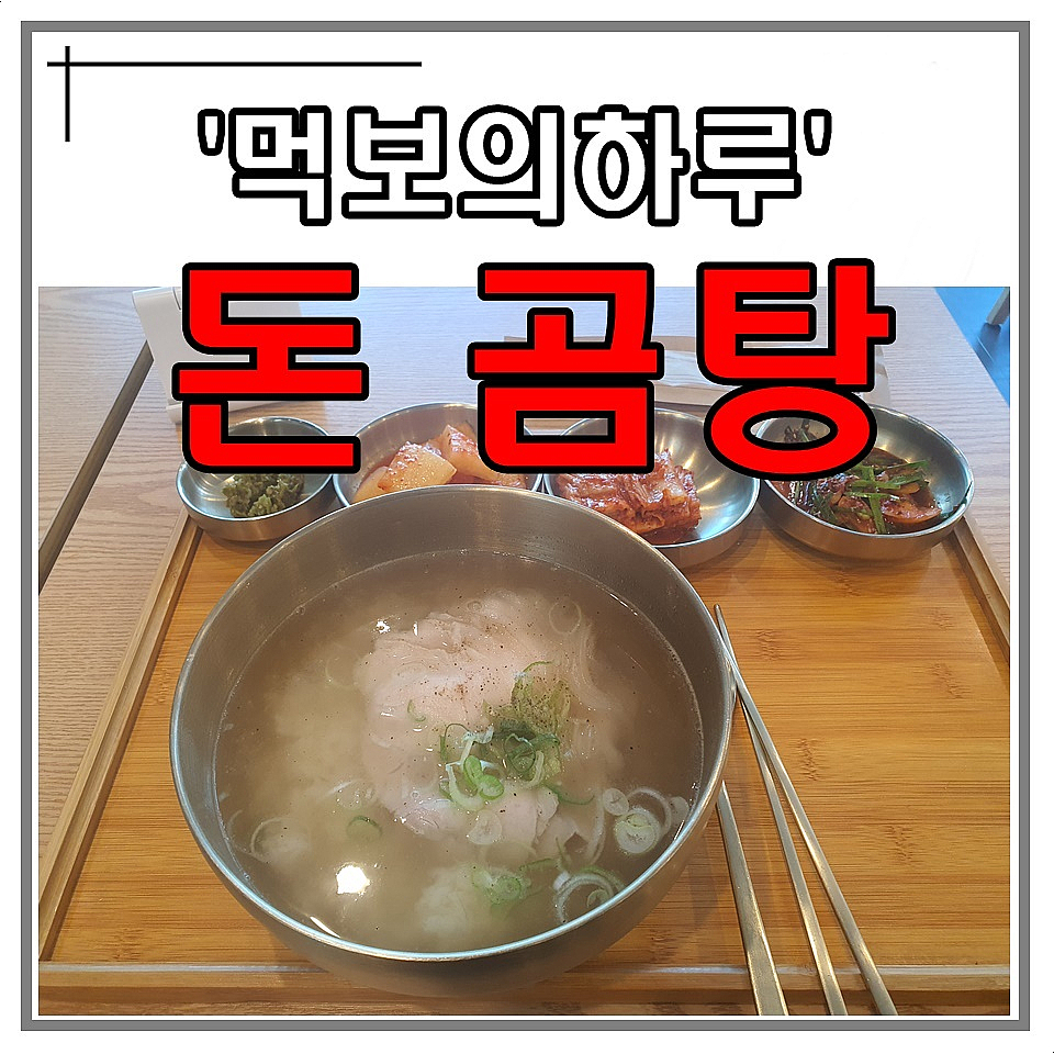 돈곰 이미지