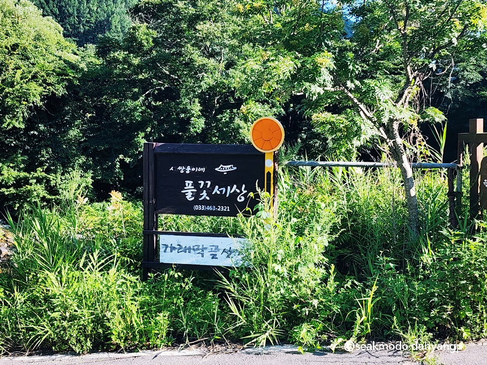 세쌍둥이네풀꽃세상 이미지