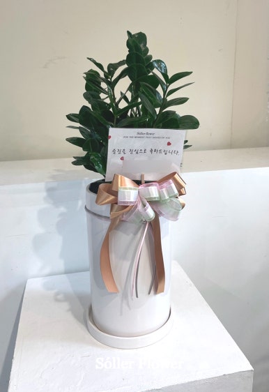 소예르플라워 이미지